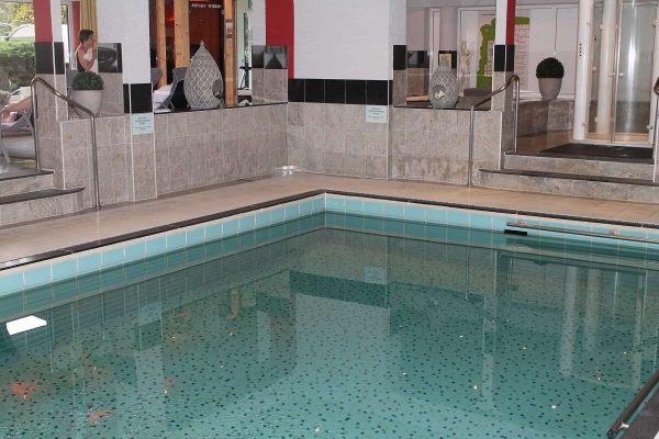 Hotel TOP CountryLine Ritter (Badenweiler)